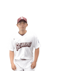 키움히어로즈 Sticker by Kiwoom Heroes Baseball Club