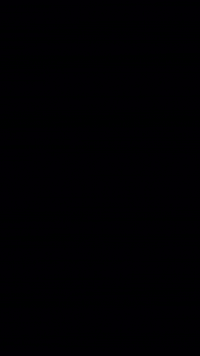 Kings Princess GIF by EWZ