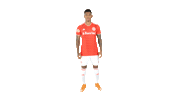 Vamointer Diadeinter Sticker by Sport Club Internacional
