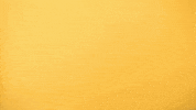 Cal State La Sport GIF by Cal State LA Golden Eagles