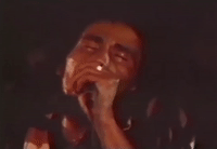 lively up yourself GIF by Bob Marley