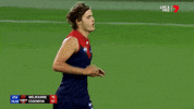 GIF by AFL