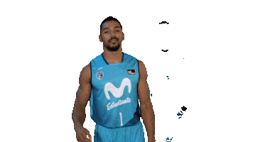 Vamos Liga Endesa Sticker by ACB