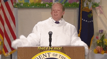 thatd be nice melissa mccarthy GIF by Saturday Night Live