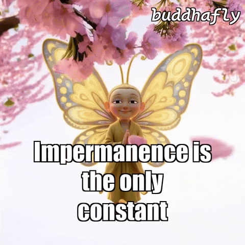 Cherry Blossoms Love GIF by BuddhaFlyJourney