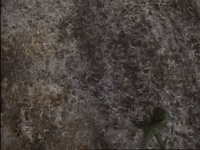 season 3 episode 13 GIF
