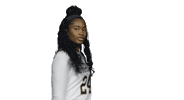 Notre Dame Hoops Sticker by Notre Dame Fighting Irish