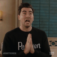 Pop Tv Comedy GIF by Schitt's Creek