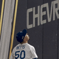 DodgersChat baseball win mlb catch GIF