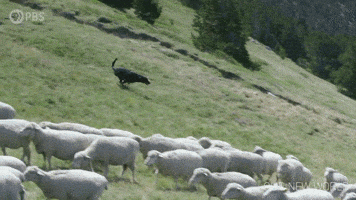 Gathering Episode 2 GIF by PBS