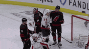 happy ice hockey GIF by NHL