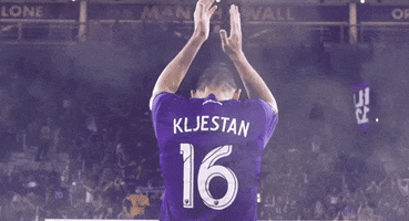Clapping Fans GIF by Orlando City SC