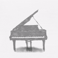 Cats Piano GIF by Miqan