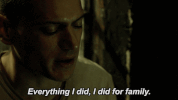 fox GIF by Prison Break