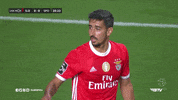 Sl Benfica Thumbs Up GIF by Sport Lisboa e Benfica