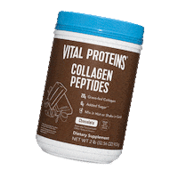 Health Chocolate Sticker by Vital Proteins