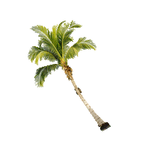 summer la Sticker by prettylittlething