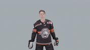 Hockey Del GIF by Löwen Frankfurt