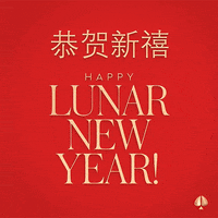 GIF by kate spade new york