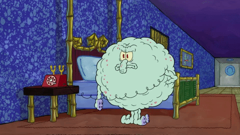 season 9 sanctuary GIF by SpongeBob SquarePants