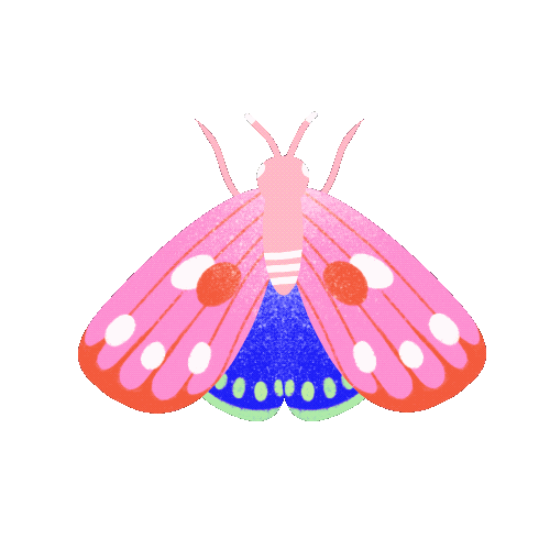 limistic giphyupload butterfly insect papillon Sticker