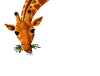 hanging wild animals Sticker by Idlewild Kids