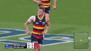 round 3 afl GIF by Adelaide Crows