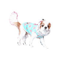 Dogs Sticker