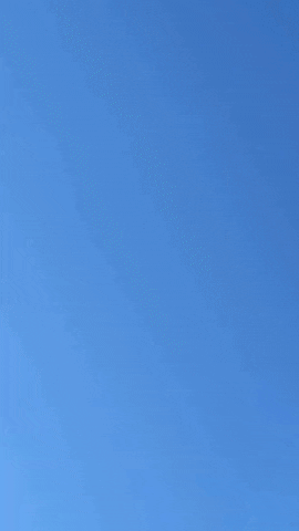 Simongip giphygifmaker GIF