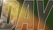 miamihurricanes  GIF