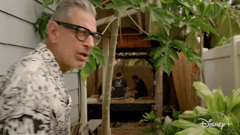 Episode 3 Tattoos GIF by The World According to Jeff Goldblum | Disney+