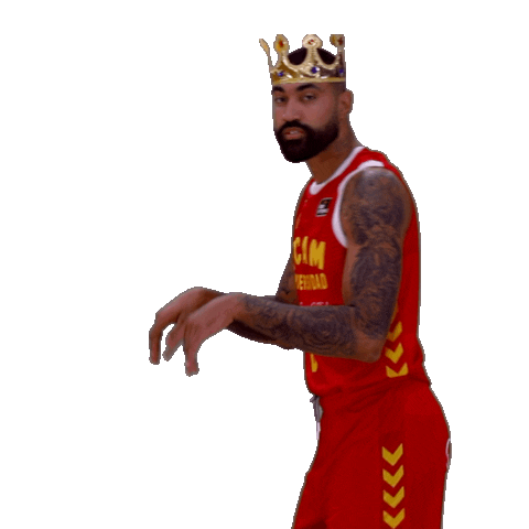 Liga Endesa Sport Sticker by ACB