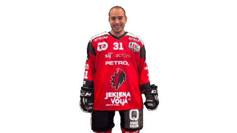 Sport Goal Sticker by HDD SIJ Acroni Jesenice