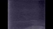 Piano Player Film GIF