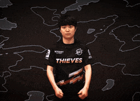 League Of Legends Ok GIF by 100 Thieves