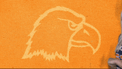 Cnwb19 GIF by Carson-Newman Athletics