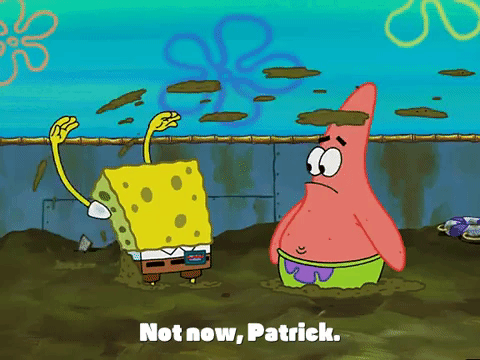 season 3 missing identity GIF by SpongeBob SquarePants