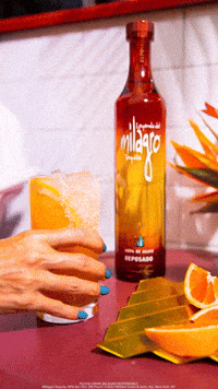 Fun Serve GIF by Milagro Tequila