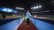 Blue Jays Sport GIF by MLB
