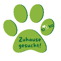Tierliebe Catslove Sticker by TiKoTierheim