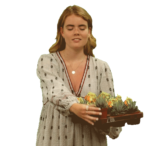 Ppexport Sticker by DutchShotz