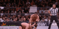 All Elite Wrestling GIF by AEWonTV