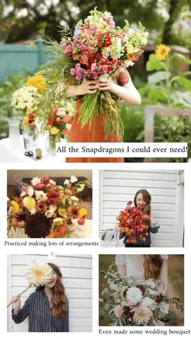 daniellefulawka giphyupload GIF