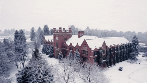 Snow Vandals GIF by University of Idaho