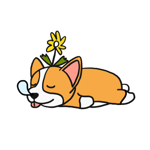 Serumkind giphyupload serumkind Sticker