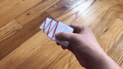 GIF by Science Friday