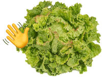 city eat Sticker by Visit Graz