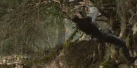chris hemsworth GIF by The Huntsman: Winter's War