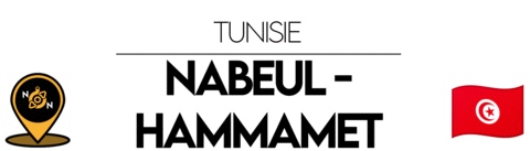 Nn Nabeul Sticker by NoirNomads