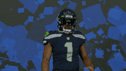 American Football GIF by Seattle Seahawks